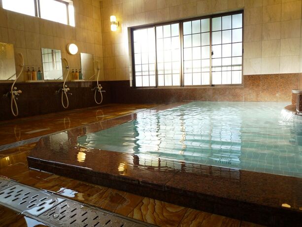 Imagen general del Hotel Takanoya, Yuzawa. Foto 18