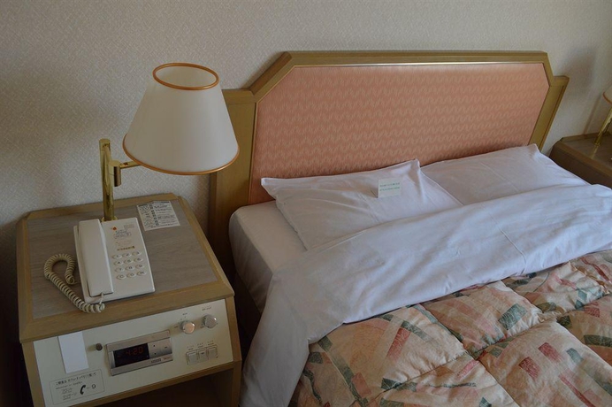 Imagen general del Hotel Takasaki Washington Plaza. Foto 5
