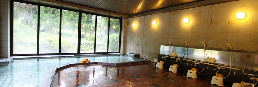 Imagen de los interiores del Hotel Takeo Century. Foto 13