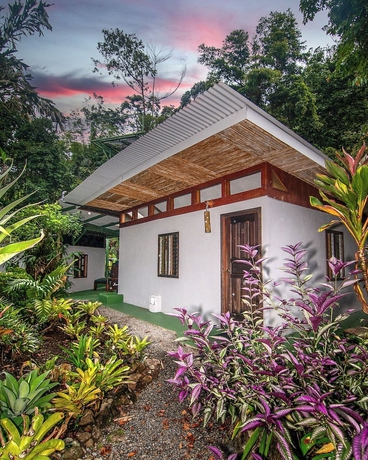 Imagen de la habitación del Hotel Talamanca Nature Reserve. Foto 12