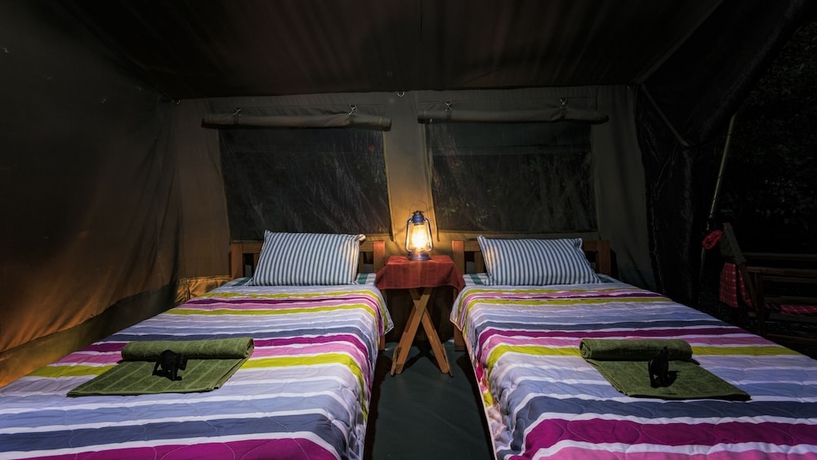 Imagen de la habitación del Hotel Talek Olkinyei Camp. Foto 7