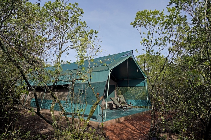 Imagen de la habitación del Hotel Talek Olkinyei Camp. Foto 15