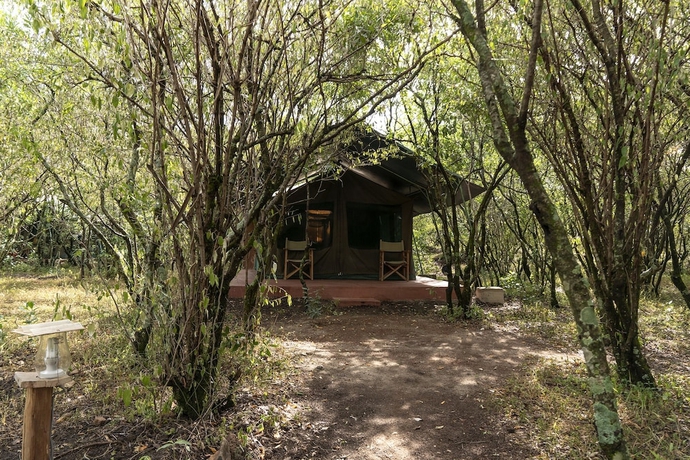 Imagen de la habitación del Hotel Talek Olkinyei Camp. Foto 17