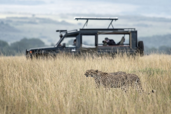 Imagen general del Hotel Talek Olkinyei Camp. Foto 4