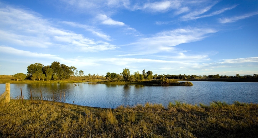 Imagen de los exteriores del Hotel Talga Estate. Foto 17