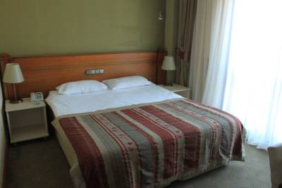 Imagen de la habitación del Hotel Talia Sapanca. Foto 3