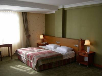 Imagen de la habitación del Hotel Talia Sapanca. Foto 4