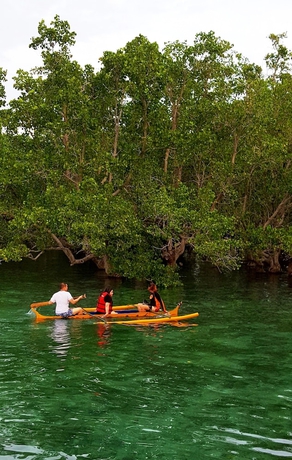 Imagen general del Hotel Talikud Island Mangrove Beach Resort. Foto 2