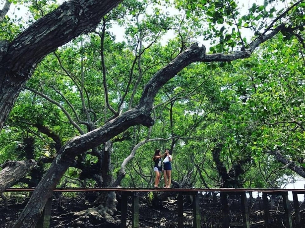 Imagen general del Hotel Talikud Island Mangrove Beach Resort. Foto 3