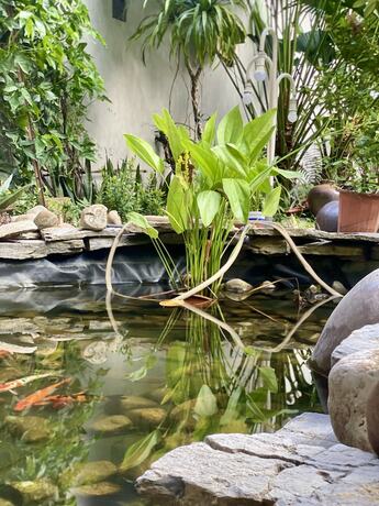 Imagen general del Hotel Tam Coc Luxury Homestay. Foto 7