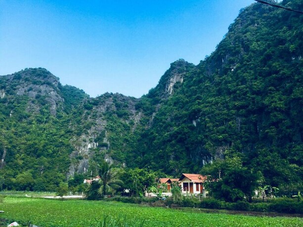 Imagen general del Hotel Tam Coc Luxury Homestay. Foto 1