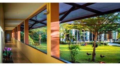 Imagen general del Hotel Tamali. Foto 18