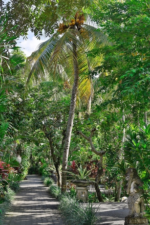 Imagen de los exteriores del Hotel Taman Harum Cottages. Foto 9