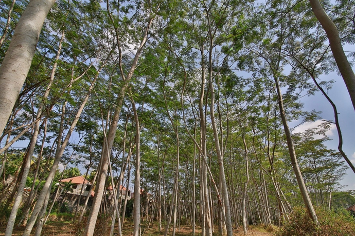 Imagen general del Hotel Taman Harum Cottages. Foto 2