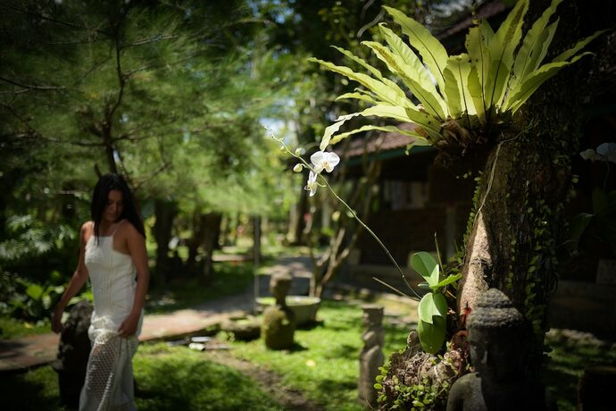 Imagen general del Hotel Taman Nauli Bed and Breakfast. Foto 13