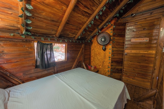 Imagen de la habitación del Hotel Tamarindo Beach Hostel. Foto 5