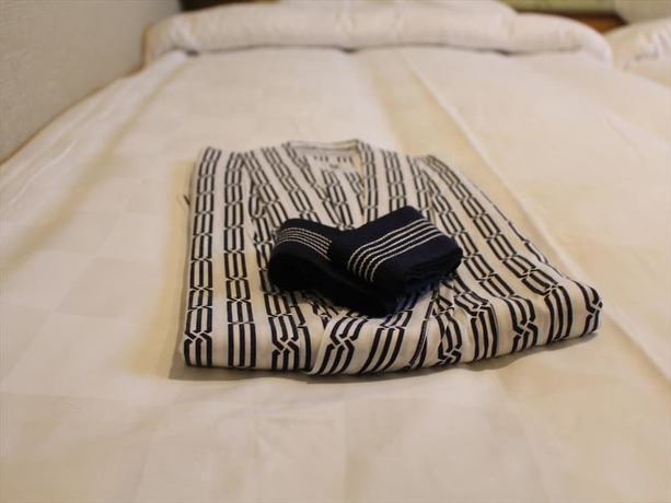 Imagen de la habitación del Hotel Tamayura Asakusa. Foto 8