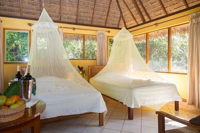 Imagen general del Hotel Tambopata Ecolodge. Foto 8