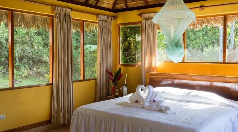 Imagen general del Hotel Tambopata Ecolodge. Foto 12