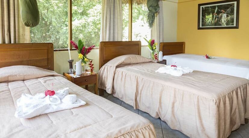Imagen general del Hotel Tambopata Ecolodge. Foto 13