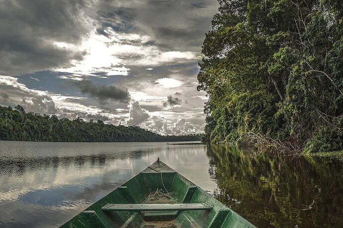 Imagen general del Hotel Tambopata Ecolodge. Foto 15