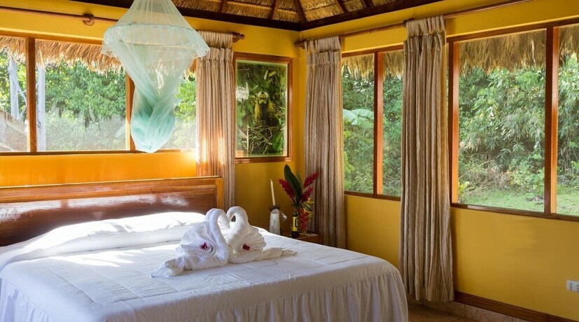 Imagen general del Hotel Tambopata Ecolodge. Foto 18