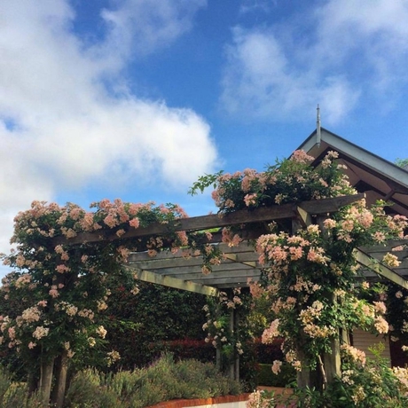 Imagen de los exteriores del Hotel Tamborine Gardens. Foto 12