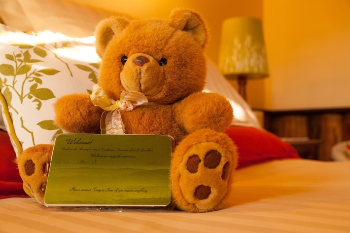 Imagen de la habitación del Hotel Tamborine Mountain Bed and Breakfast. Foto 17