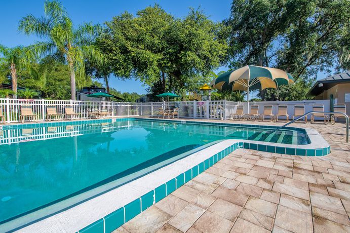 Imagen de la piscina del Hotel Tampa East RV Resort- Campground. Foto 19