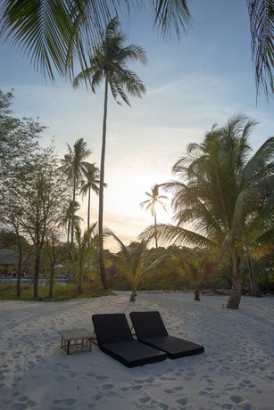 Imagen de los interiores del Hotel Tamu Koh Rong. Foto 20