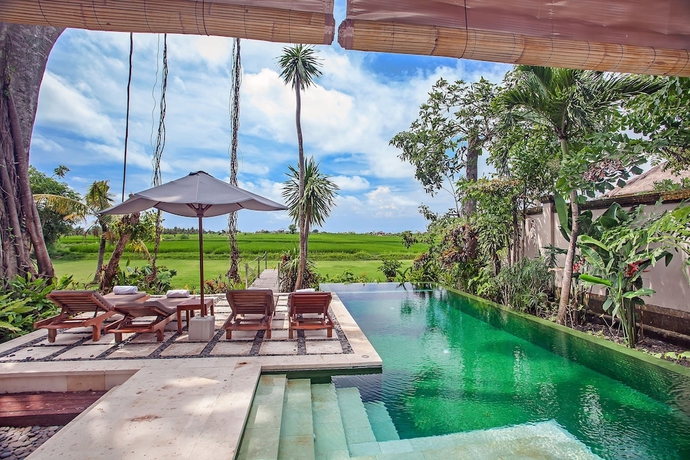 Imagen de la piscina del Hotel Tamu Seseh. Foto 19