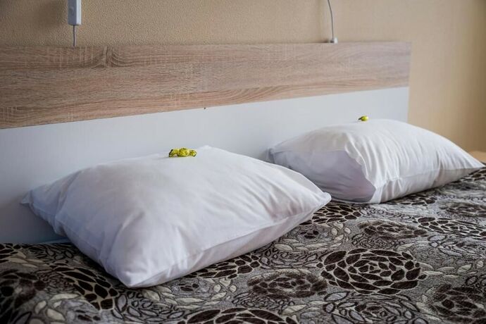 Imagen general del Hotel Tamula. Foto 12