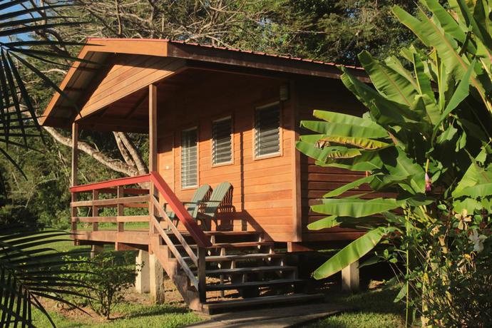 Imagen de los exteriores del Hotel Tanager Rainforest Lodge. Foto 13