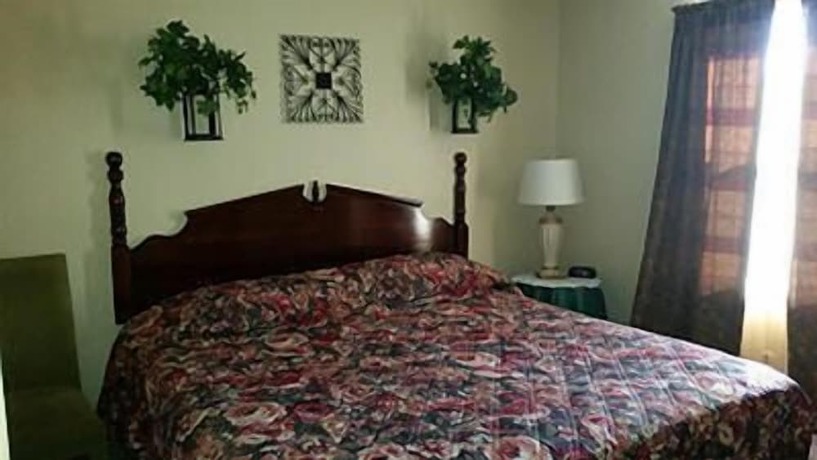 Imagen de la habitación del Hotel Taneycomo Lakefront Resort. Foto 4