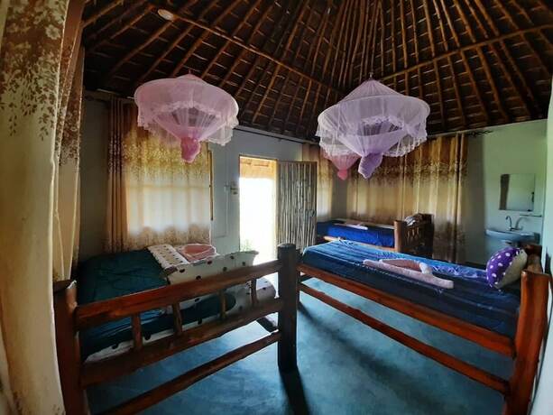 Imagen de la habitación del Hotel Tangi Safaris Lodge. Foto 14