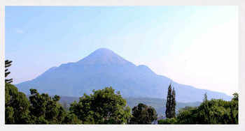 Imagen de los exteriores del Hotel Tanjung Plaza. Foto 13