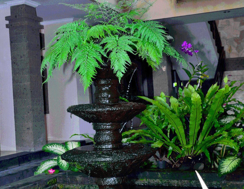 Imagen general del Hotel Tanjung Sari Inn. Foto 21