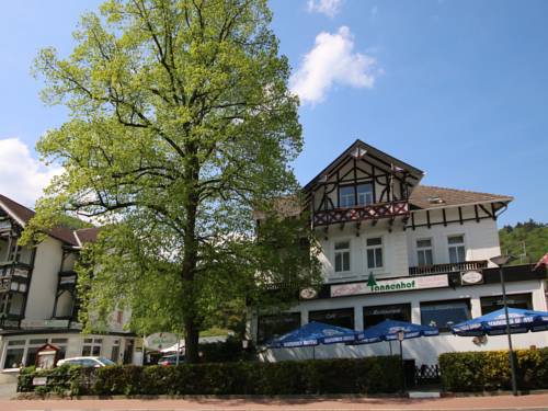 Imagen de la habitación del Hotel Tannenhof, Bad Harzburg. Foto 2