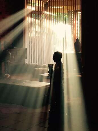 Imagen general del Hotel Tantarra Guest House. Foto 18