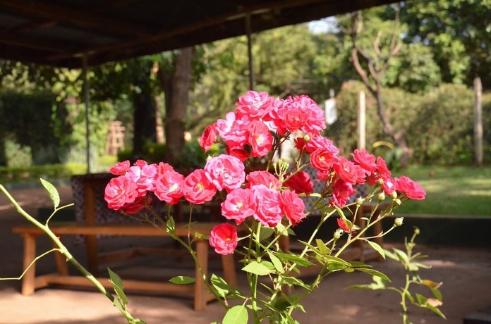 Imagen de los exteriores del Hotel Tanzania Volunteers Hostel. Foto 11