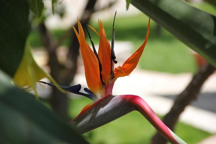 Imagen de los exteriores del Hotel Taormina Garden. Foto 6