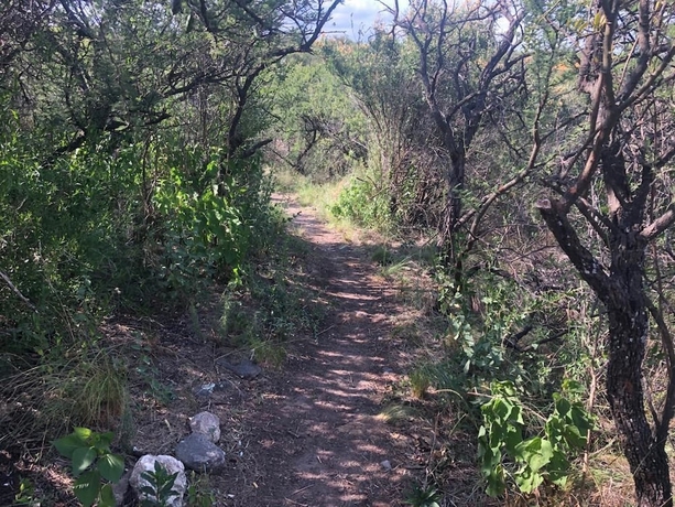 Imagen general del Hotel Taos Pueblo. Foto 2