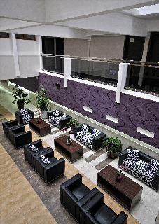 Imagen general del Hotel Tara, Budva. Foto 17