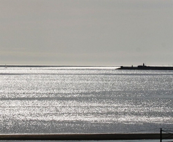 Imagen de los exteriores del Hotel Tara Towers. Foto 8