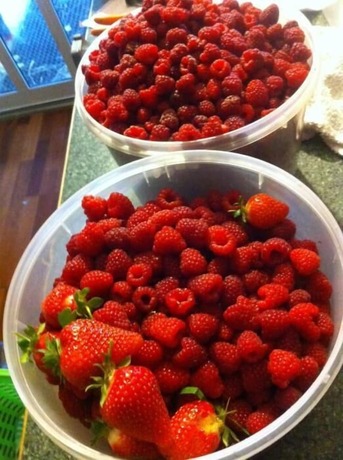 Imagen del bar/restaurante del Hotel Taras Richmond Farmstay. Foto 14