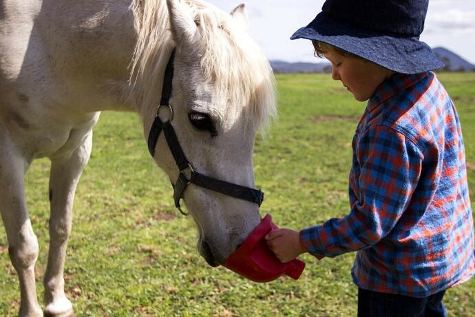 Imagen general del Hotel Taras Richmond Farmstay. Foto 1