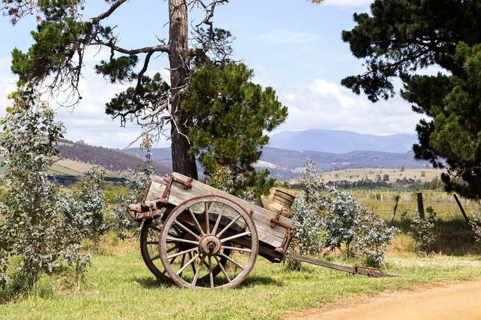 Imagen general del Hotel Taras Richmond Farmstay. Foto 12