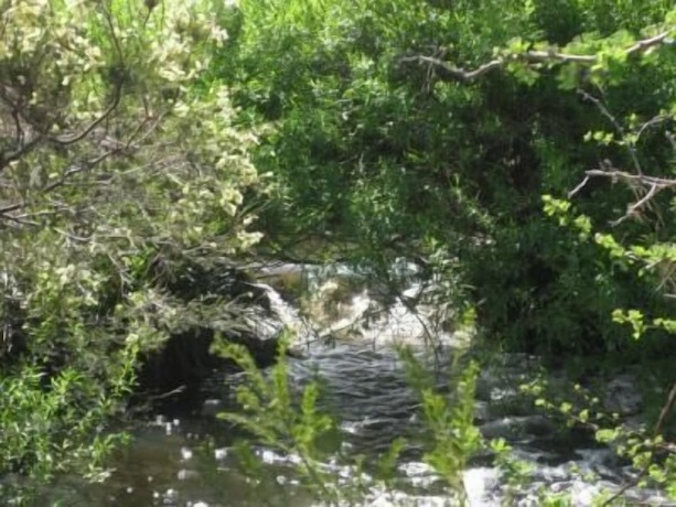 Imagen de los exteriores del Hotel Taras Richmond Farmstay. Foto 21