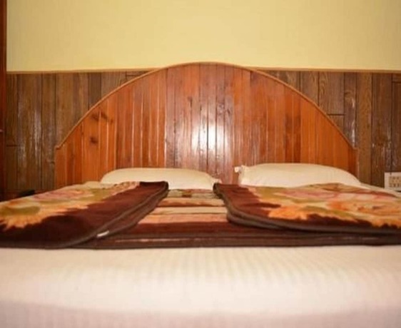 Imagen general del Hotel Tashila - Manali. Foto 7
