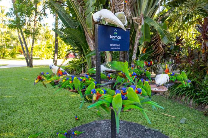 Imagen general del Hotel Tasman Holiday Parks - Airlie Beach. Foto 3